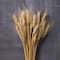 Ashland&#xAE; Natural Wheat Bunch
